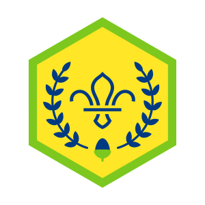 Acorn Award Challenge Award
