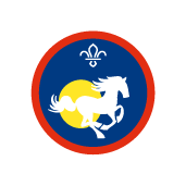 Equestrian Activity Badge