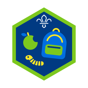 All Adventure Challenge Award