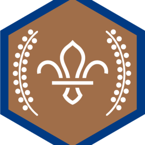 Chief Scout's Bronze Award