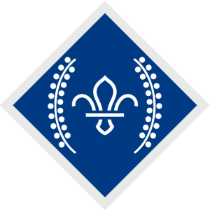 Chief Scout's Diamond Award