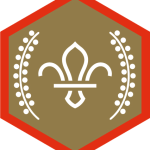 Chief Scout's Gold Award