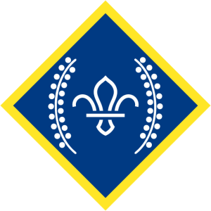 Chief Scout's Platinum Award