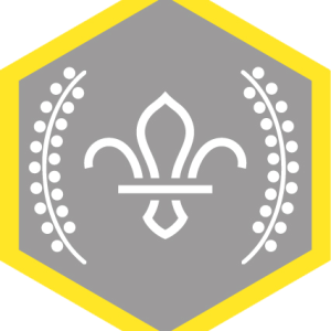 Chief Scout's Silver Award