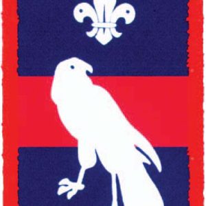 Hawk Patrol Bage