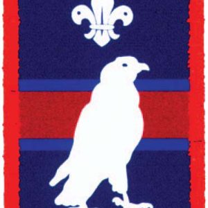 Merlin Patrol Bage