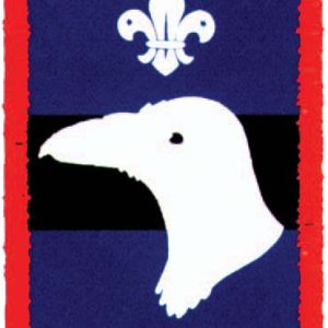 Raven Patrol Bage