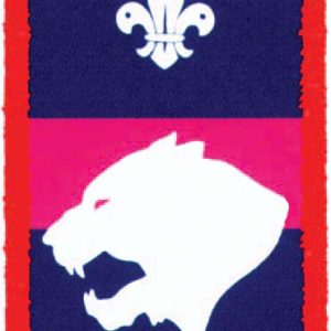 Tiger Patrol Bage