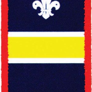 Yellow Patrol Bage