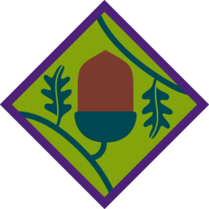 Young Leader Module A