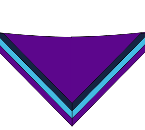 Walsall District Neckerchief