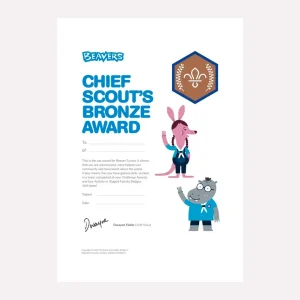Chief Scout's Bronze Award Certificate - Pack of 10