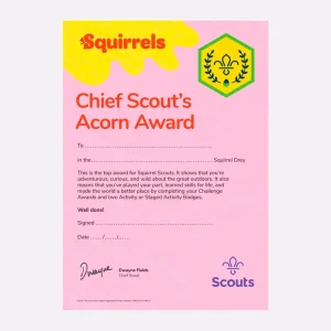 Chief Scout's Acorn Award Certificate - Pack of 10