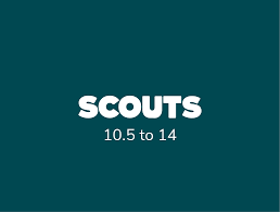 Scout Uniform