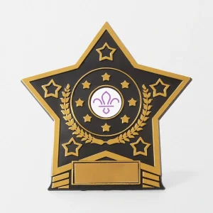 Star Trophy with Fleur de Lis Scouts Logo 10cm