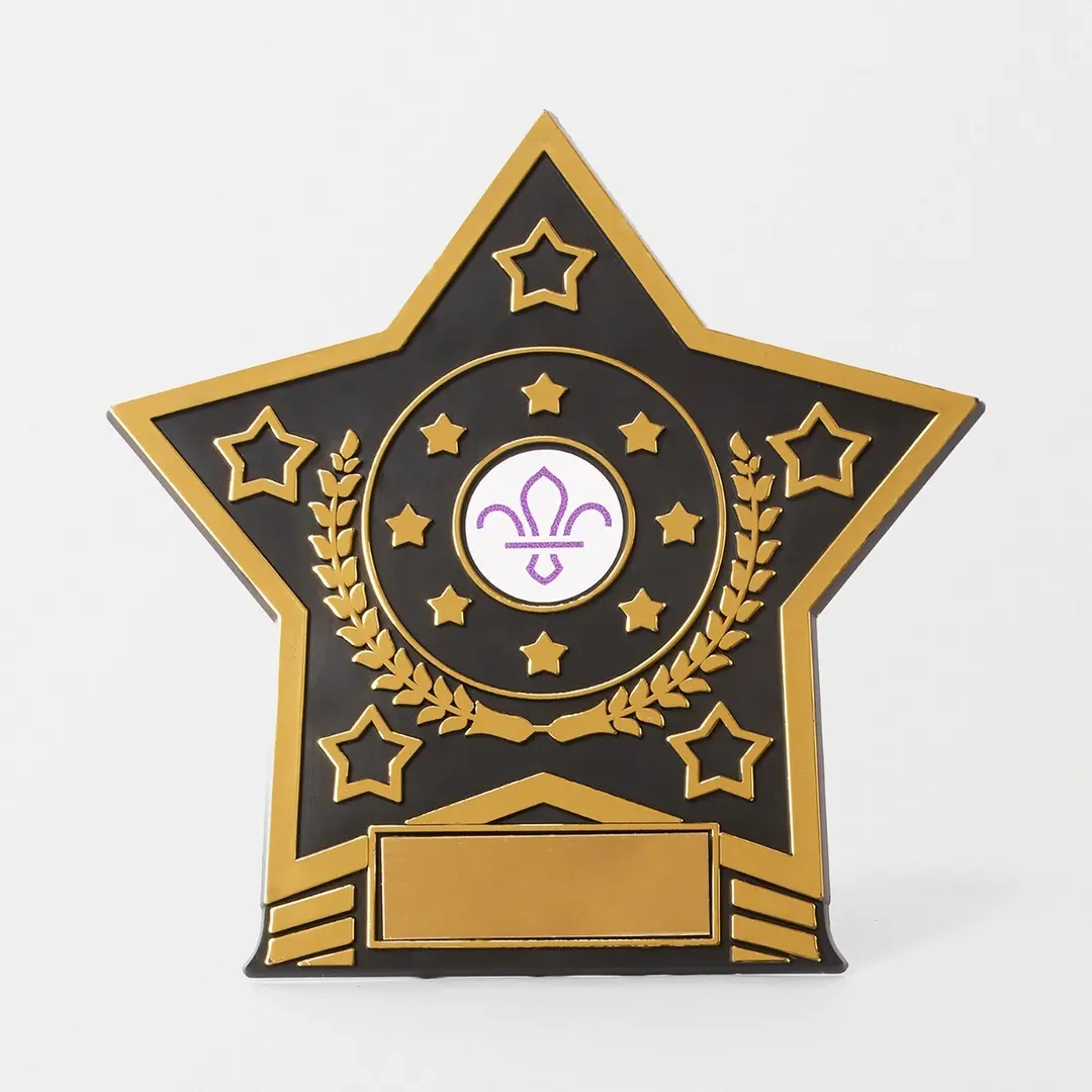 Star Trophy with Fleur de Lis Scouts Logo 10cm