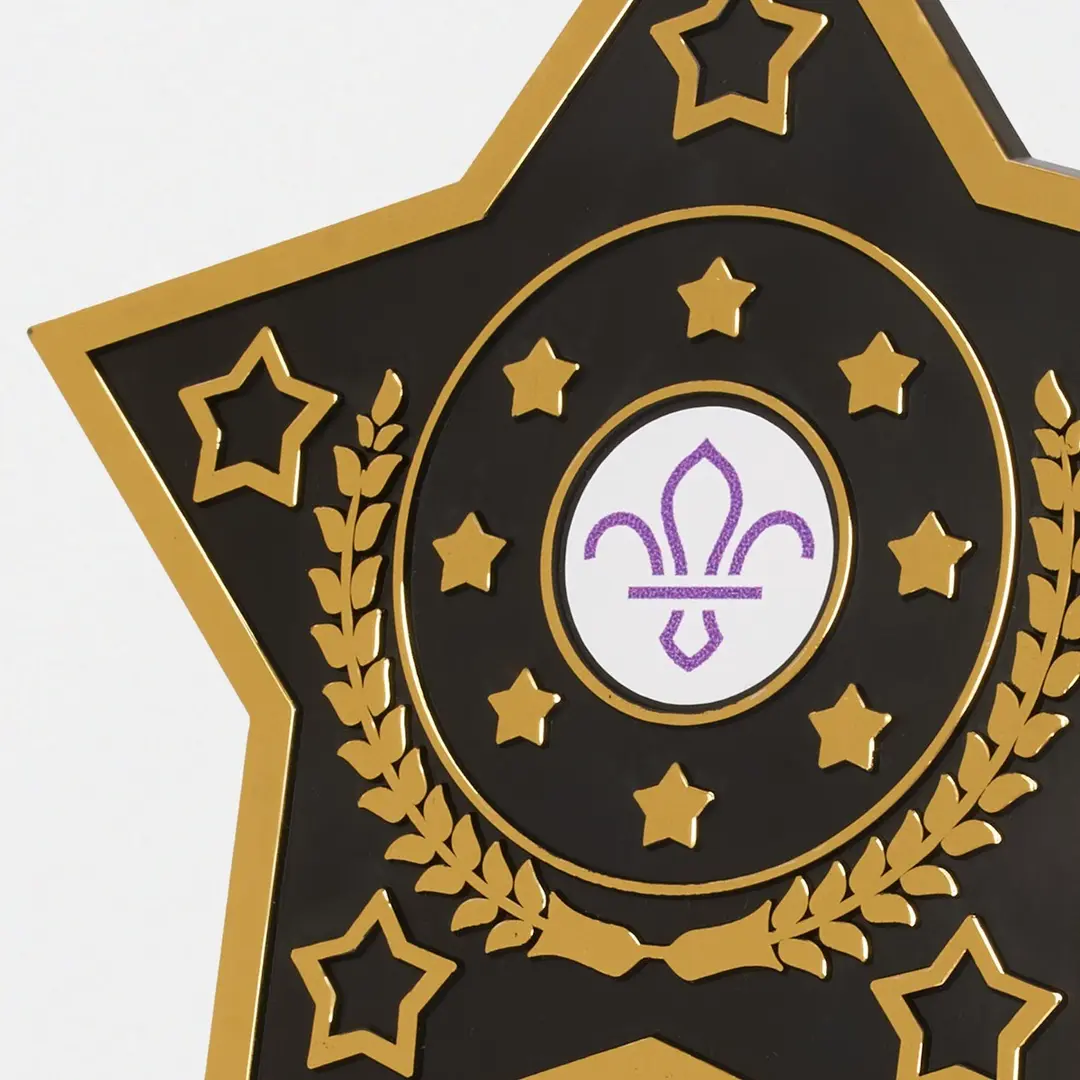 Star Trophy with Fleur de Lis Scouts Logo 10cm - Image 2