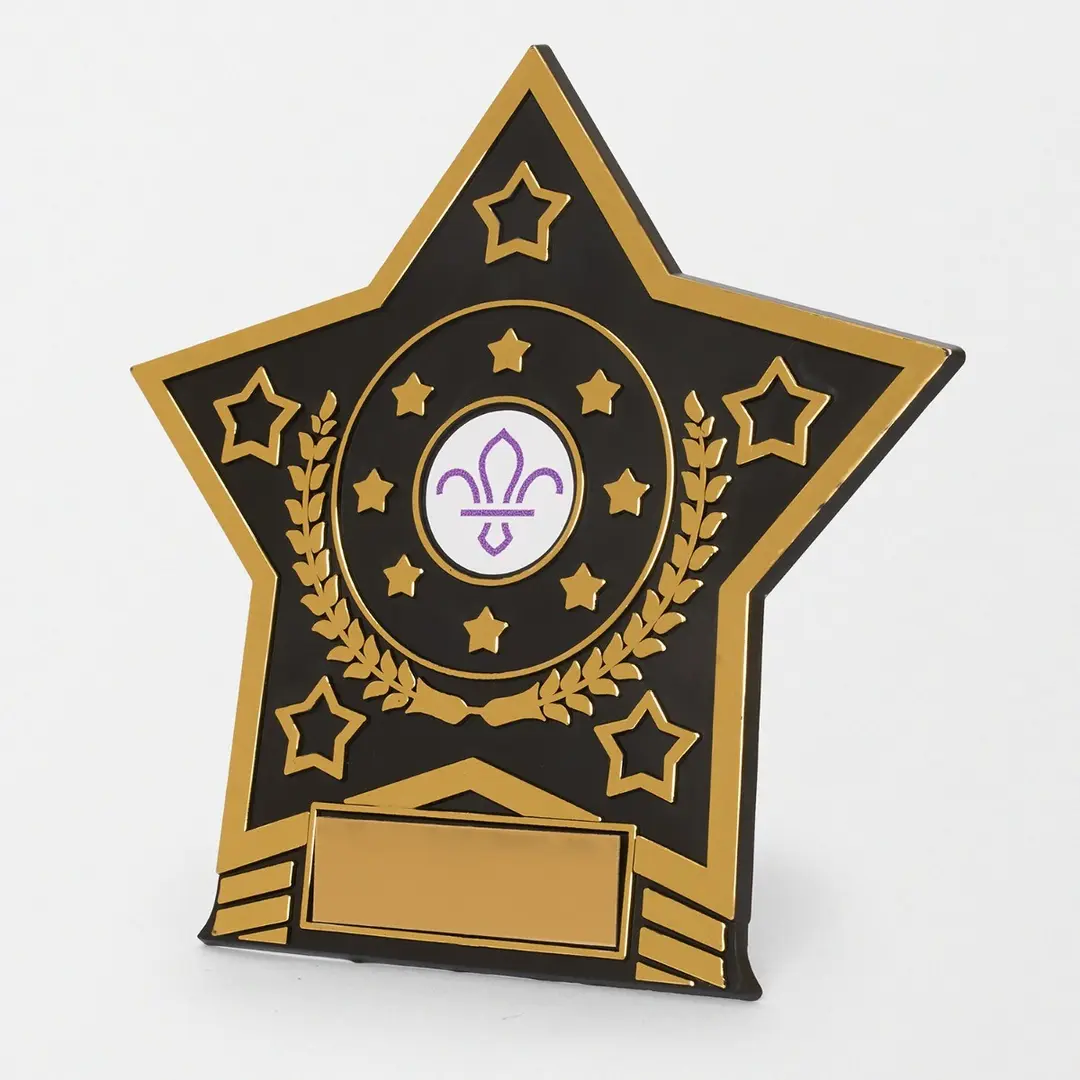 Star Trophy with Fleur de Lis Scouts Logo 10cm - Image 4