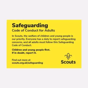 Safe Scouting Cards